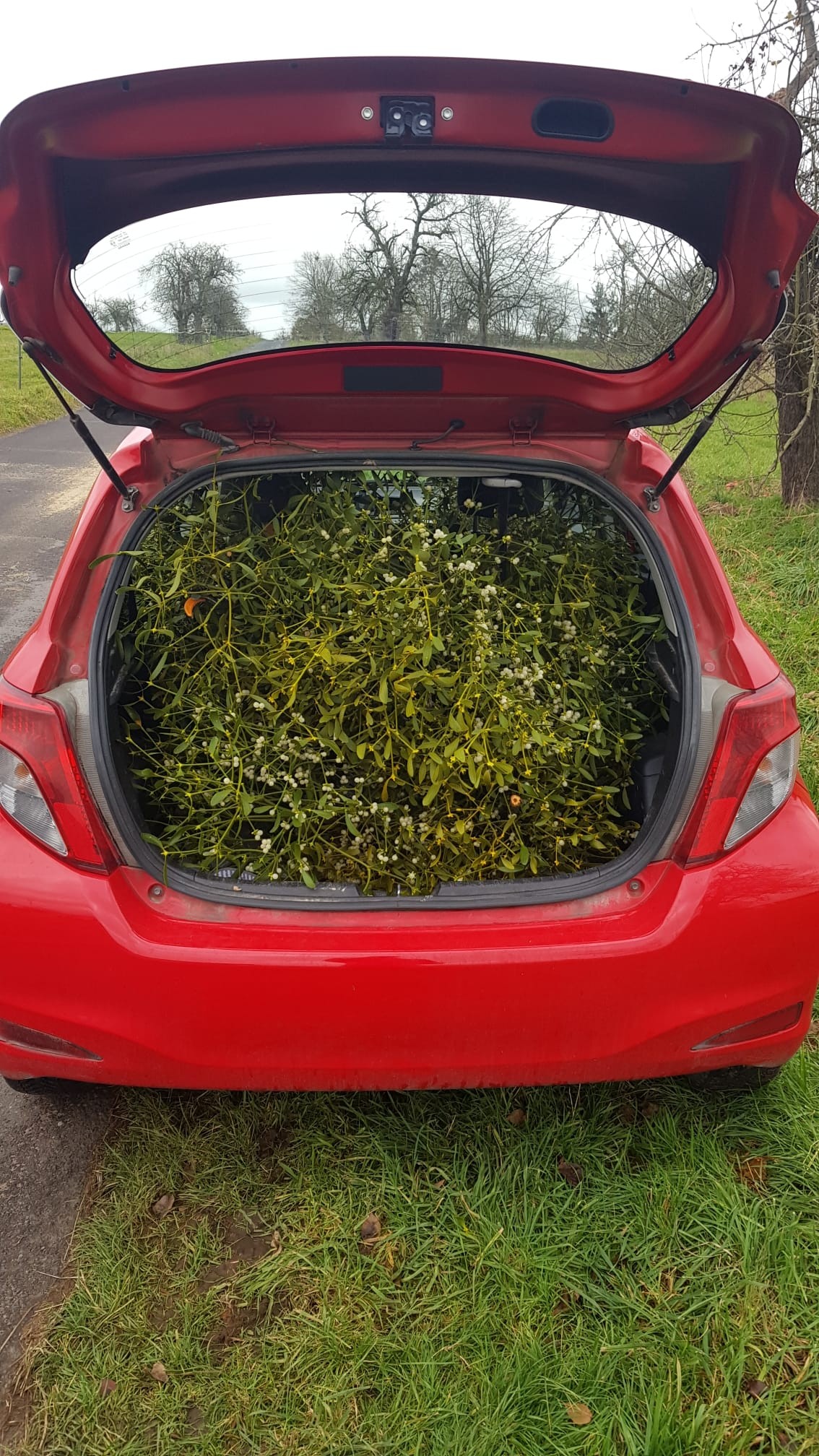 Foto: Erfolgreiche Ernte